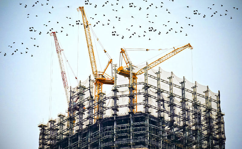 services-tabs-139154408